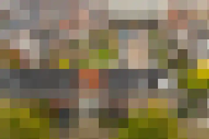 Panbos 14 Vleuten thumbnail 33