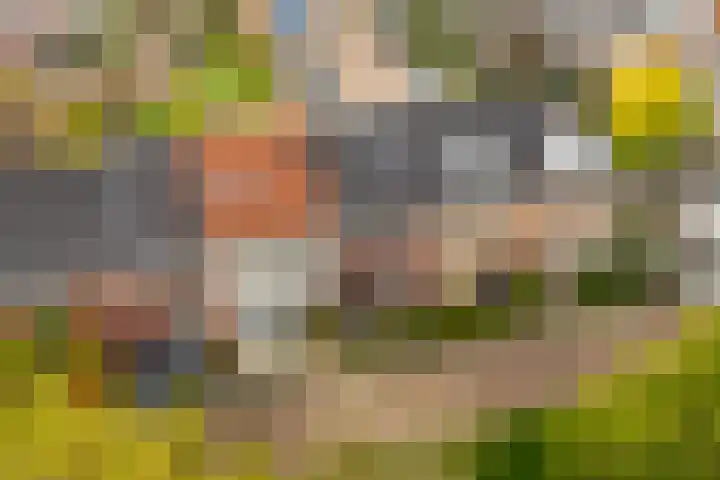 Panbos 14 Vleuten thumbnail 34