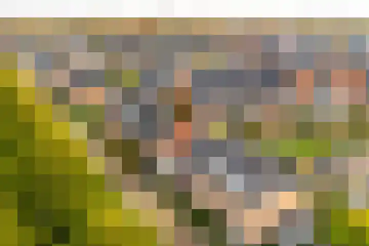 Panbos 14 Vleuten thumbnail 35