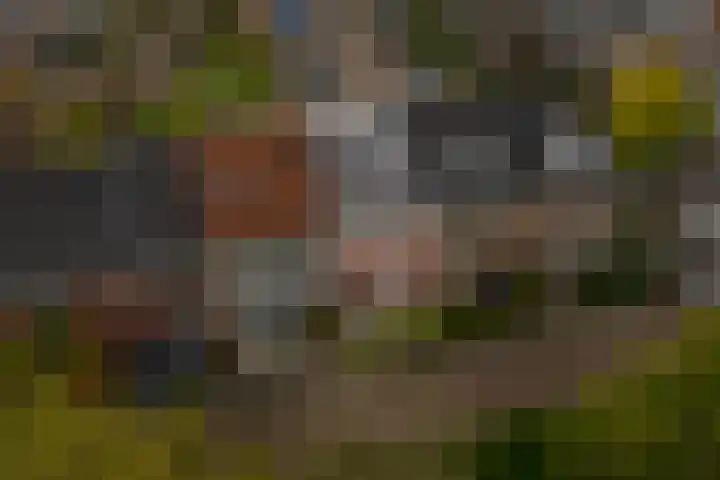 Panbos 14 Vleuten thumbnail 39