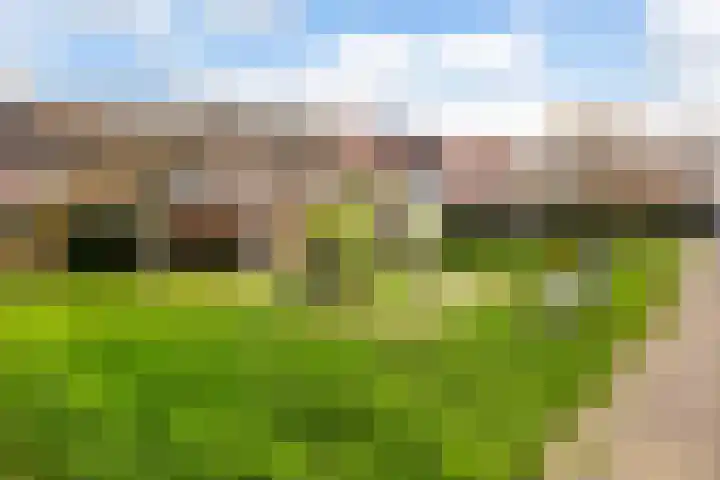 Panbos 14 Vleuten thumbnail 41
