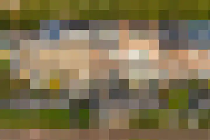 Panbos 14 Vleuten thumbnail 42
