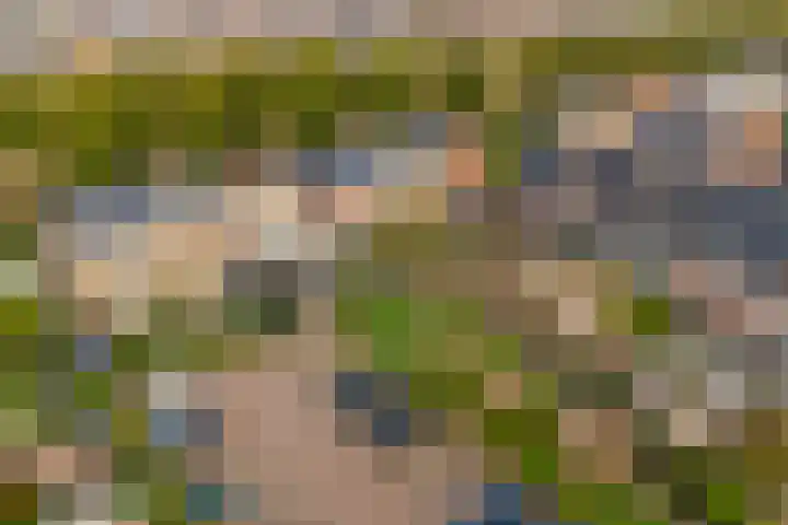 Panbos 14 Vleuten thumbnail 43