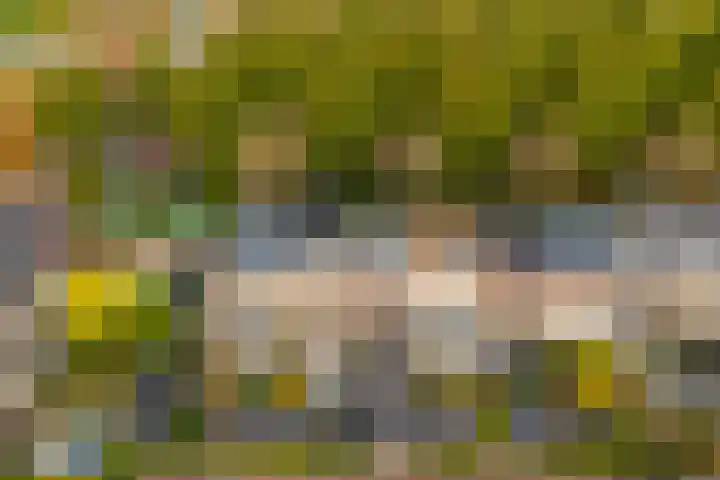 Panbos 14 Vleuten thumbnail 44