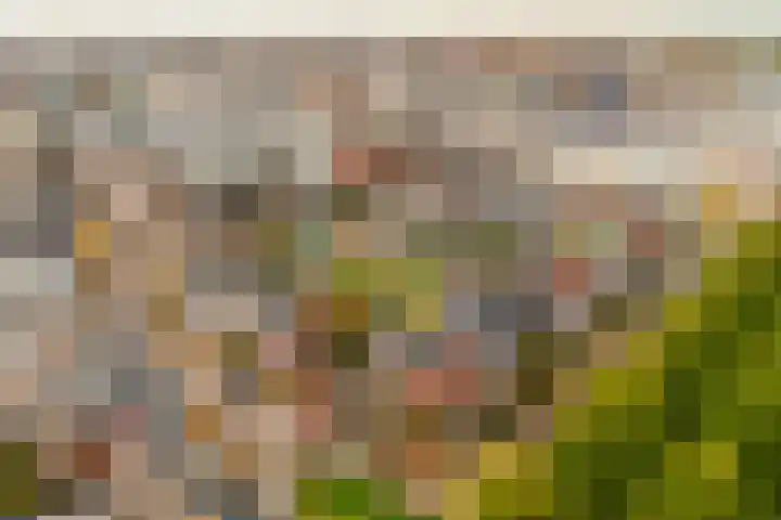 Panbos 14 Vleuten thumbnail 45