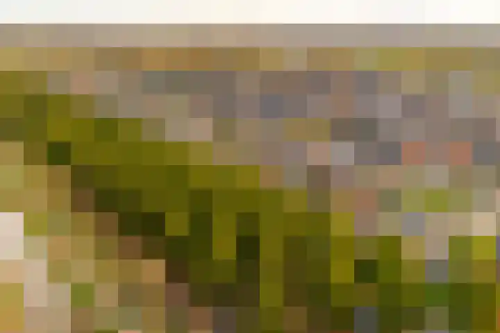 Panbos 14 Vleuten thumbnail 46