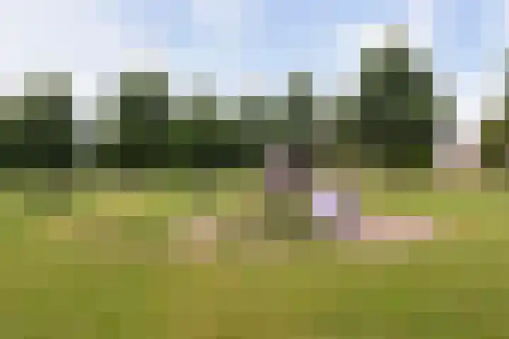 Panbos 14 Vleuten thumbnail 49