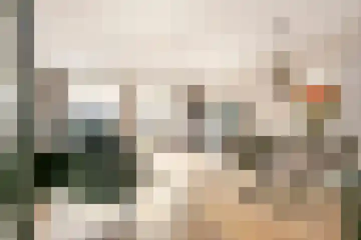 Panbos 14 Vleuten thumbnail 5