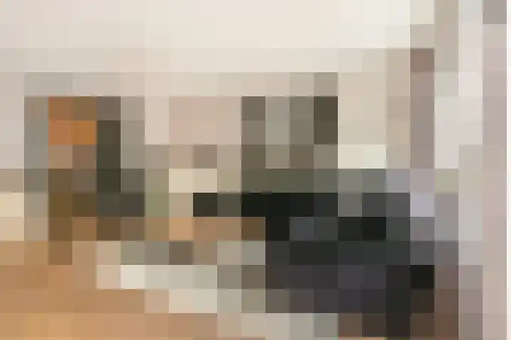 Panbos 14 Vleuten thumbnail 8