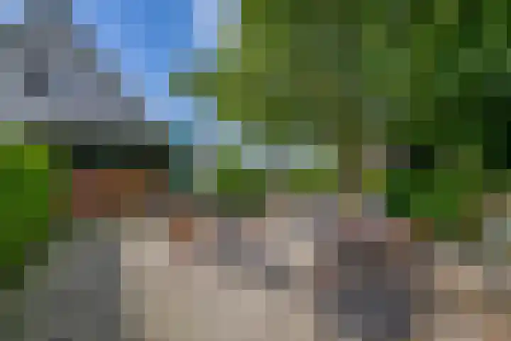 Pancrasgorseweg 2 Rockanje thumbnail 36