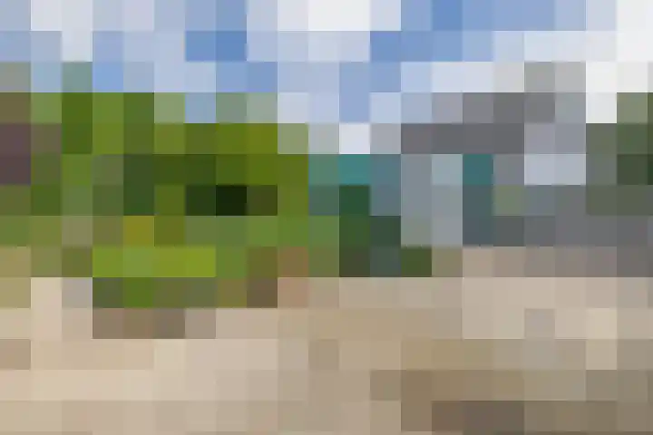 Pancrasgorseweg 2 Rockanje thumbnail 37