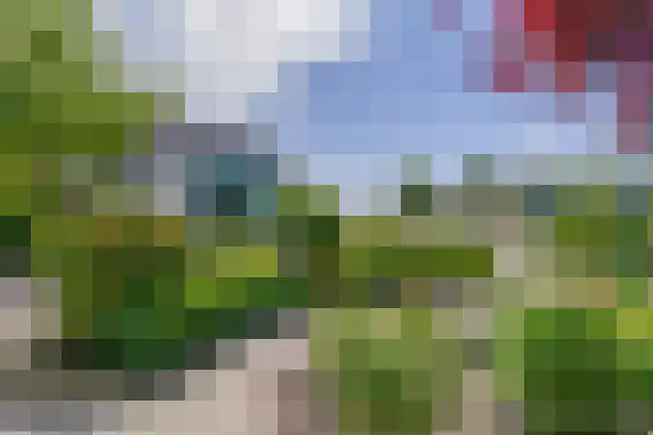 Pancrasgorseweg 2 Rockanje thumbnail 38