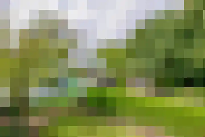 Pancrasgorseweg 2 Rockanje thumbnail 39