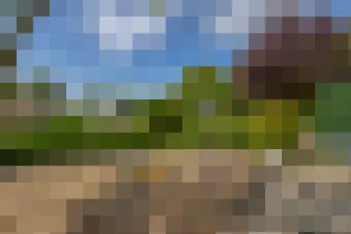 Pancrasgorseweg 2 Rockanje thumbnail 41