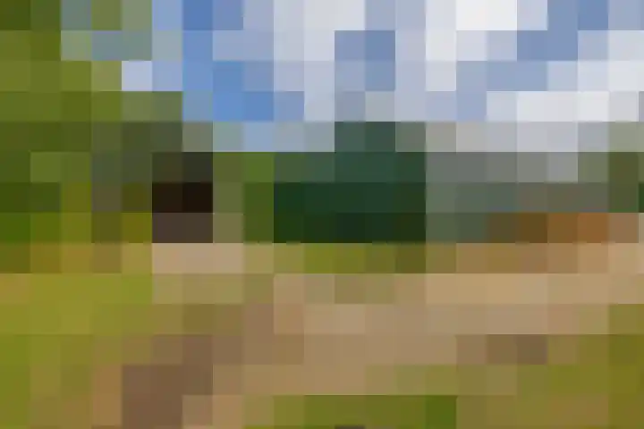 Pancrasgorseweg 2 Rockanje thumbnail 43