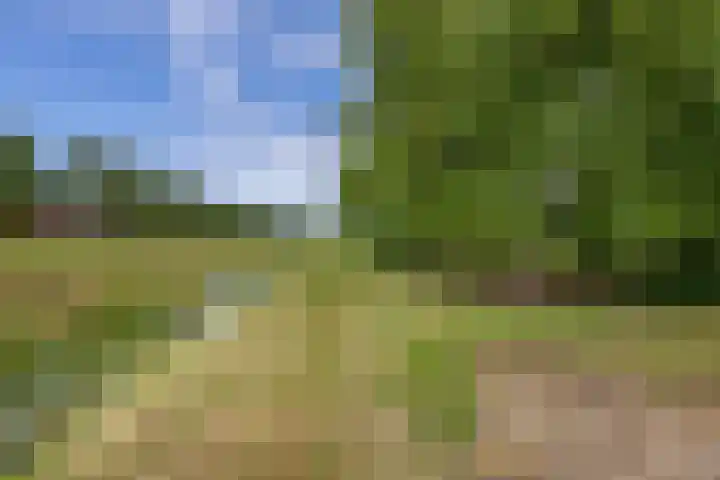 Pancrasgorseweg 2 Rockanje thumbnail 45