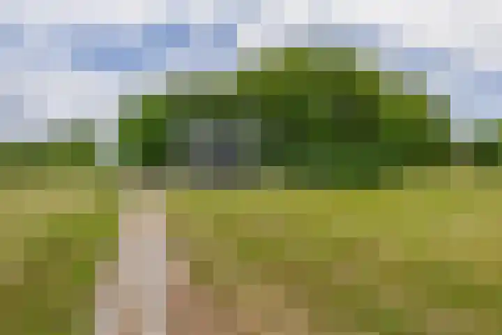 Pancrasgorseweg 2 Rockanje thumbnail 46