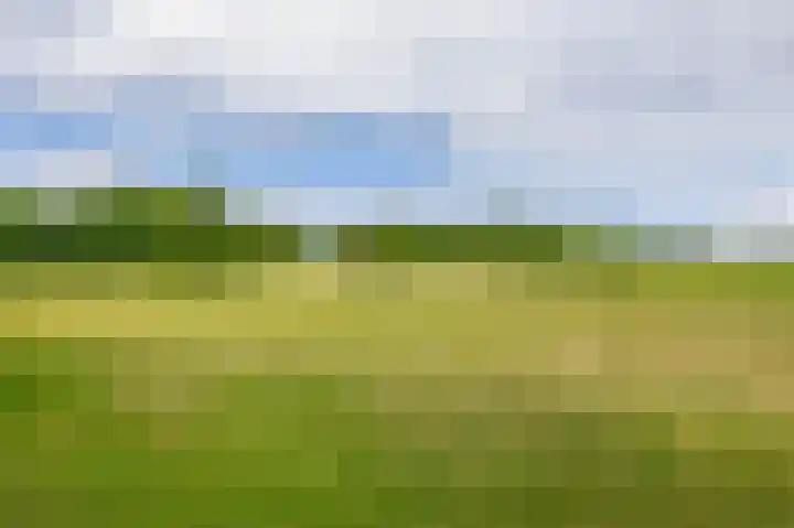 Pancrasgorseweg 2 Rockanje thumbnail 50