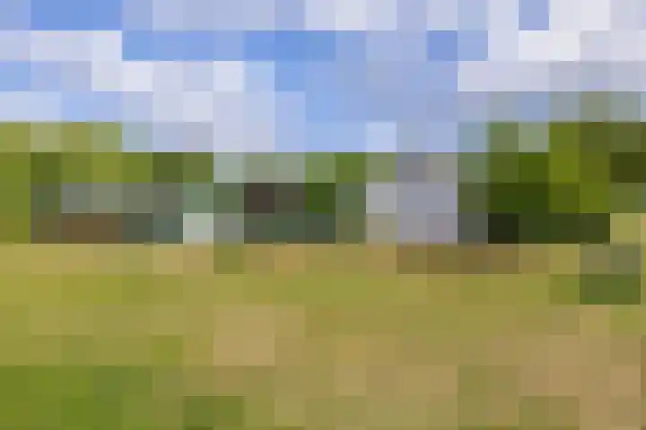 Pancrasgorseweg 2 Rockanje thumbnail 53