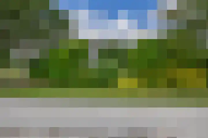 Pancrasgorseweg 2 Rockanje thumbnail 55
