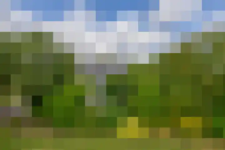 Pancrasgorseweg 2 Rockanje thumbnail 56