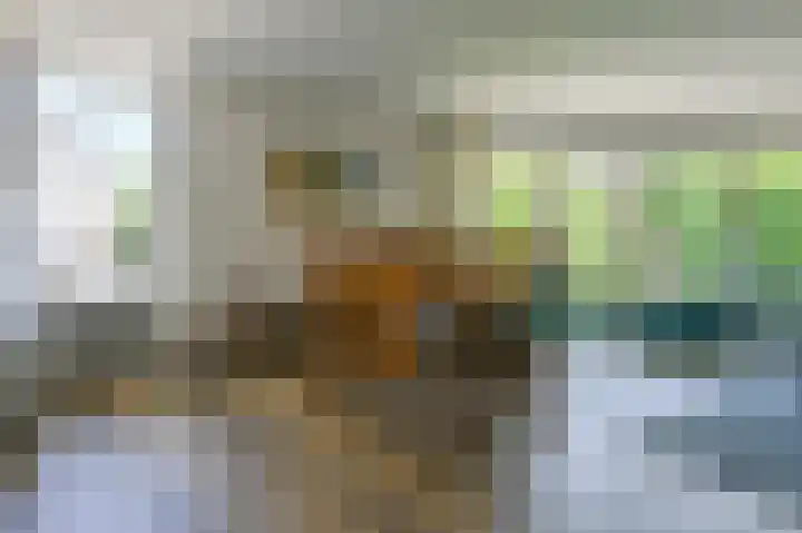 Pancratiushof 64 Putten thumbnail 15