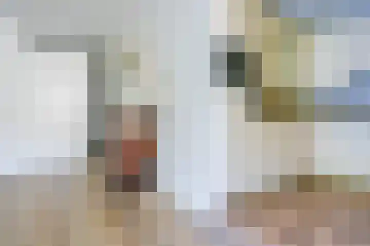 Pancratiushof 64 Putten thumbnail 17