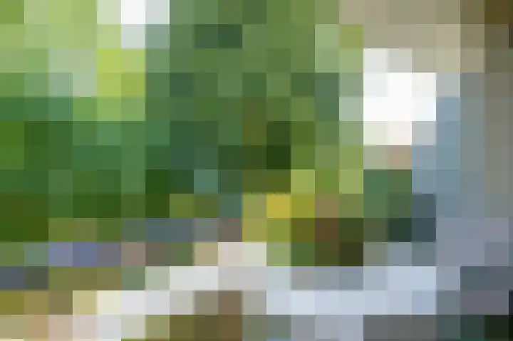 Pancratiushof 64 Putten thumbnail 29