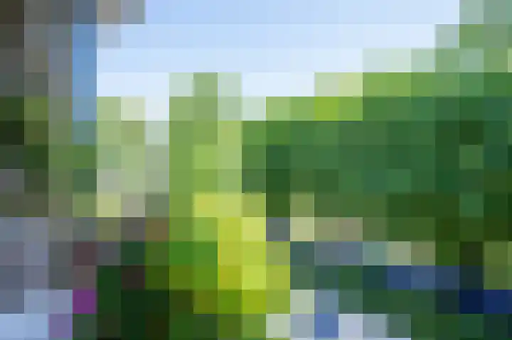 Pancratiushof 64 Putten thumbnail 30