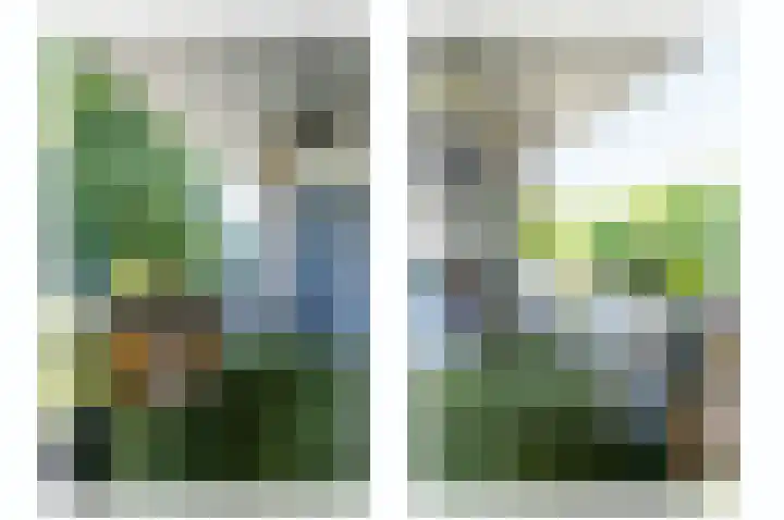 Pancratiushof 64 Putten thumbnail 31