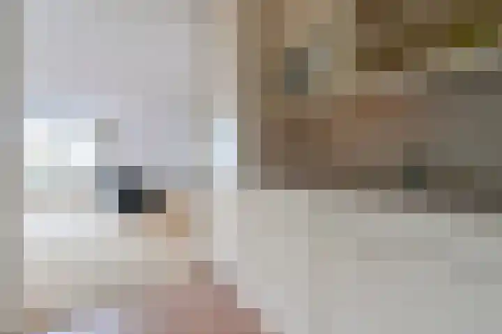 Pancratiushof 68 Putten thumbnail 13
