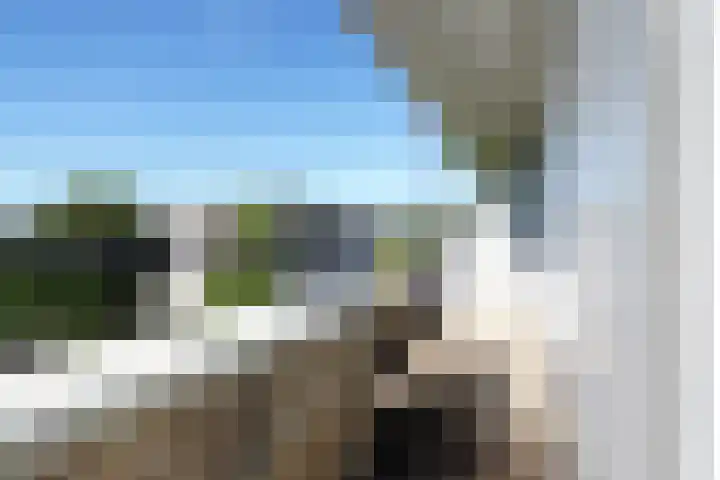 Pancratiushof 72 Putten thumbnail 22