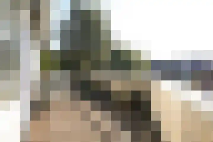 Pancratiushof 72 Putten thumbnail 23