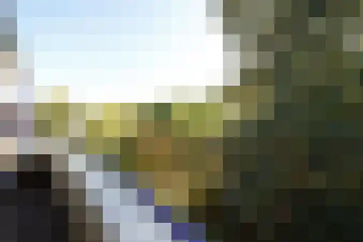 Pancratiushof 72 Putten thumbnail 34
