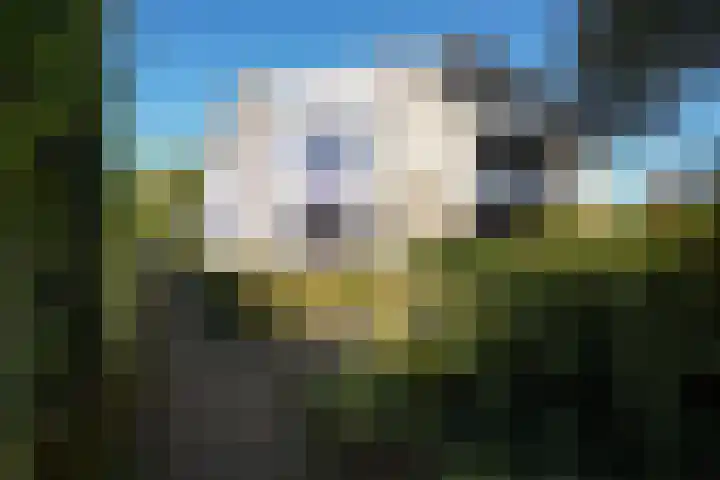 Pancratiushof 72 Putten thumbnail 49