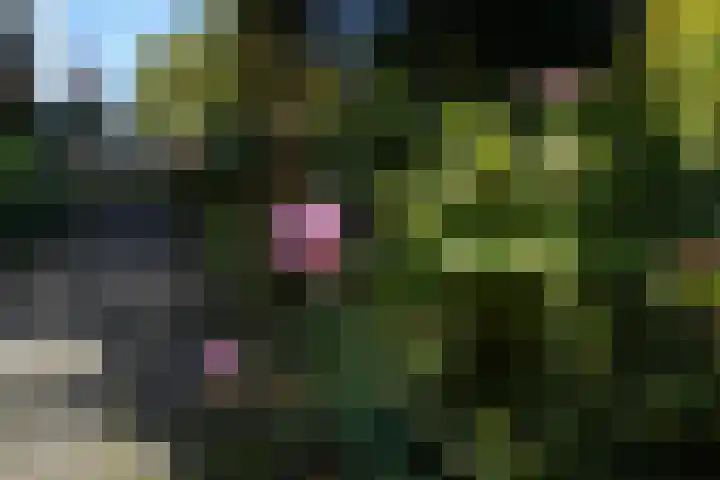 Pancratiushof 72 Putten thumbnail 50