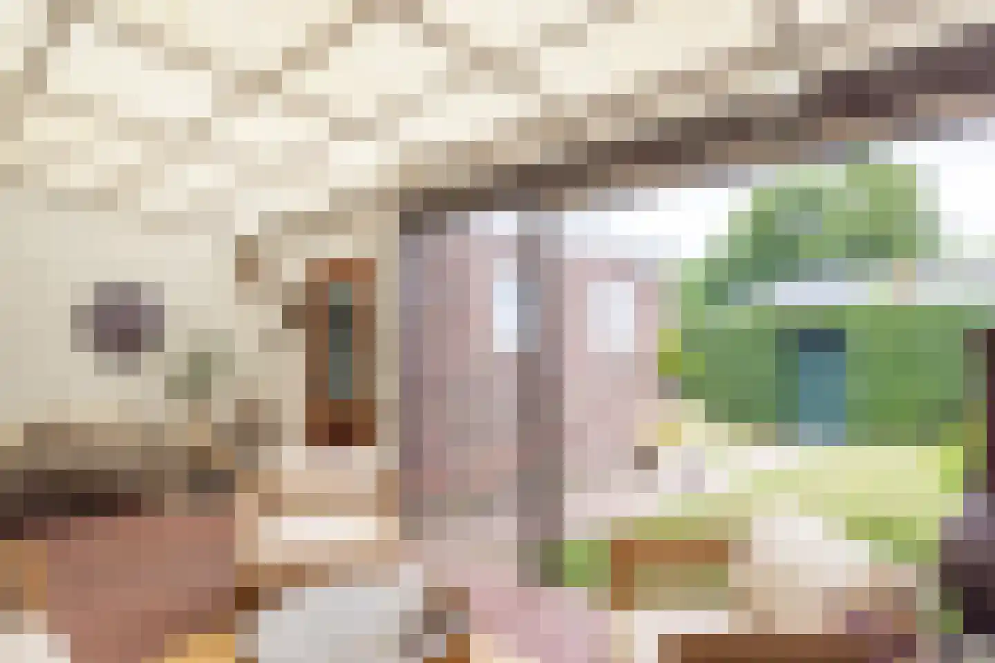 Pancratiusstraat 6 Kerkrade thumbnail 30