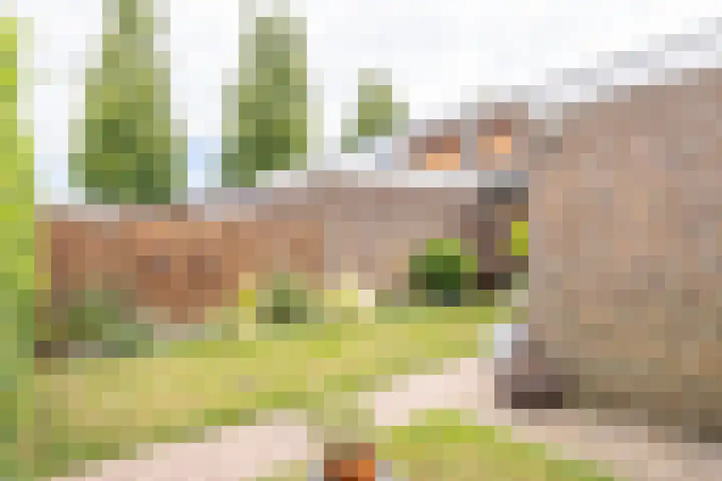 Pancratiusstraat 6 Kerkrade thumbnail 33