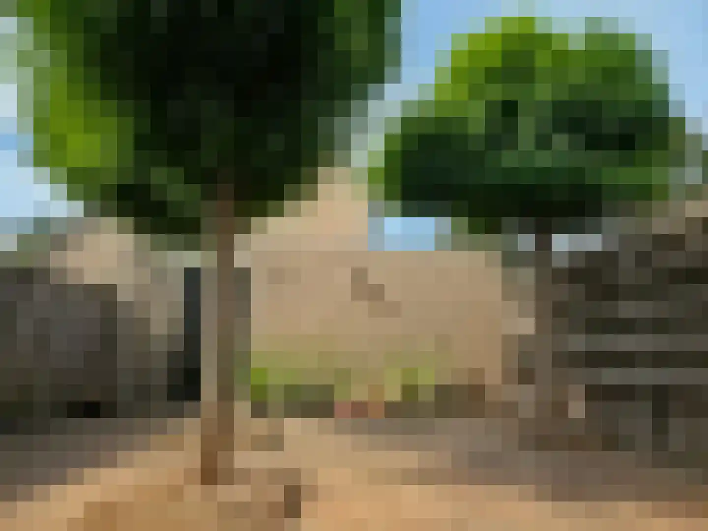 Pandabeerstraat 62 Almere thumbnail 22