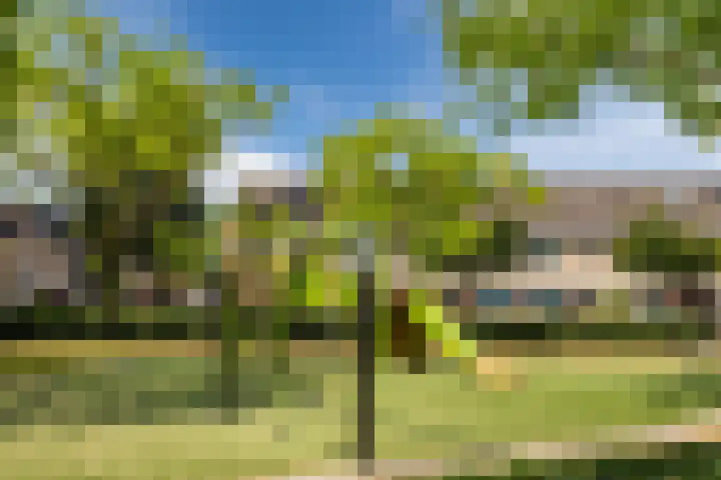 Pandabeerstraat 62 Almere thumbnail 24