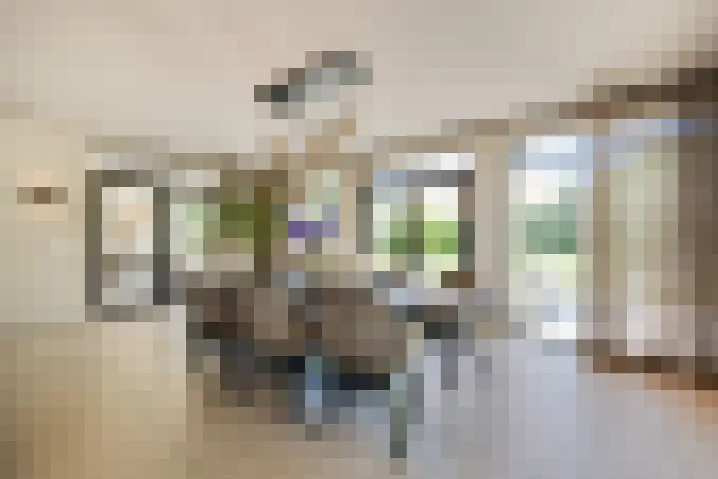 Pandelaar 14 Gemert thumbnail 10