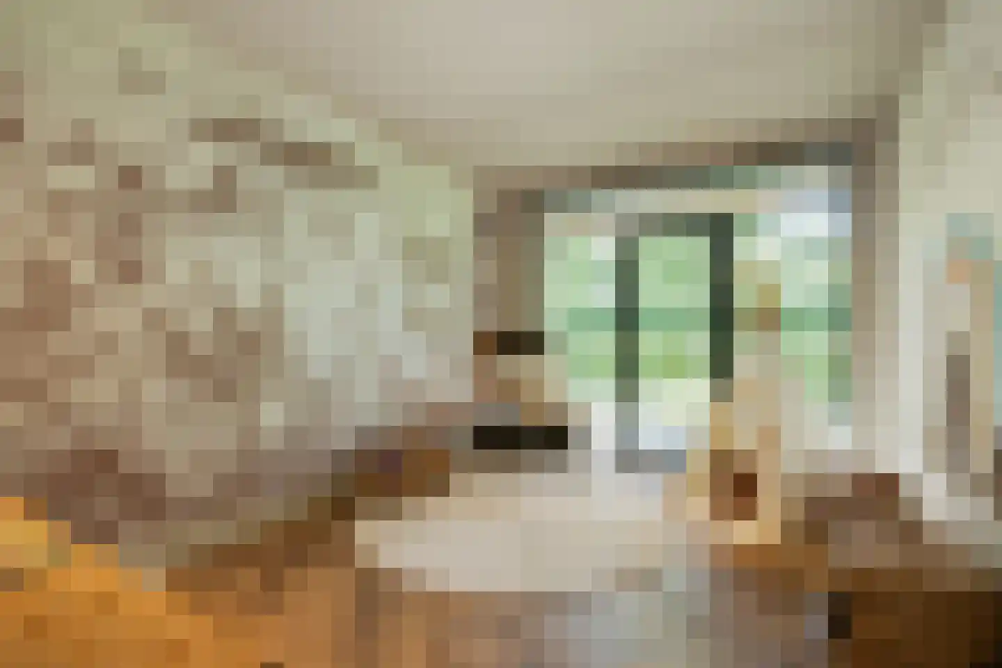 Pandelaar 14 Gemert thumbnail 11