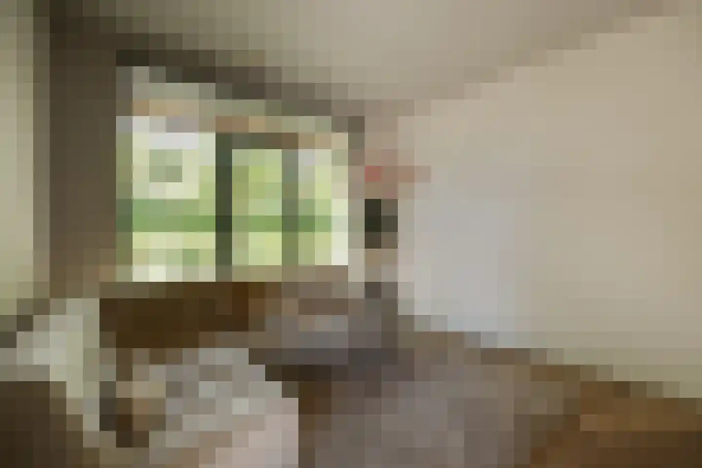 Pandelaar 14 Gemert thumbnail 12