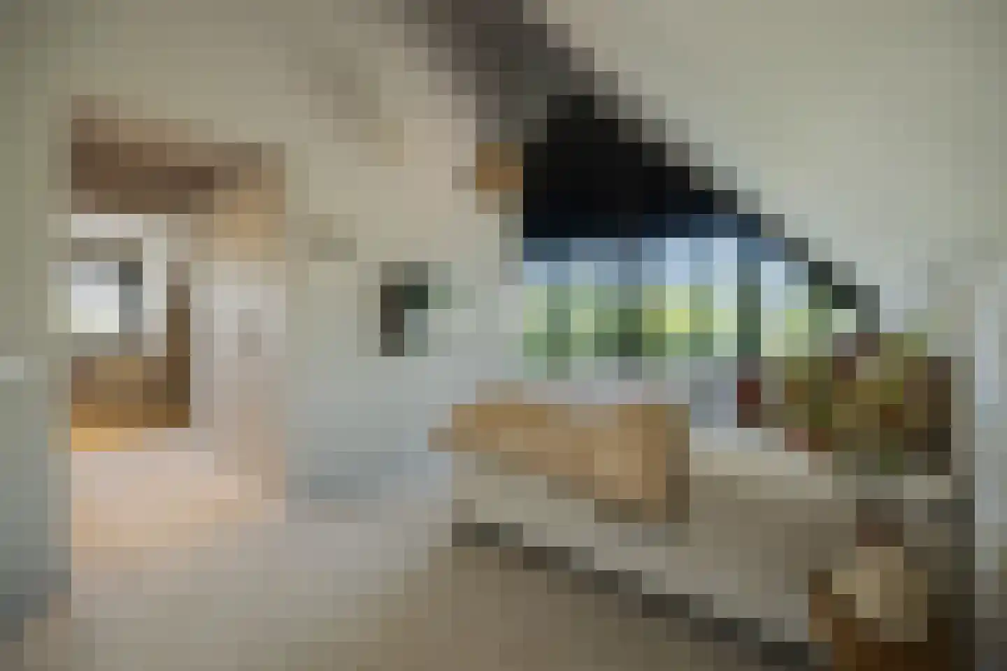 Pandelaar 14 Gemert thumbnail 13