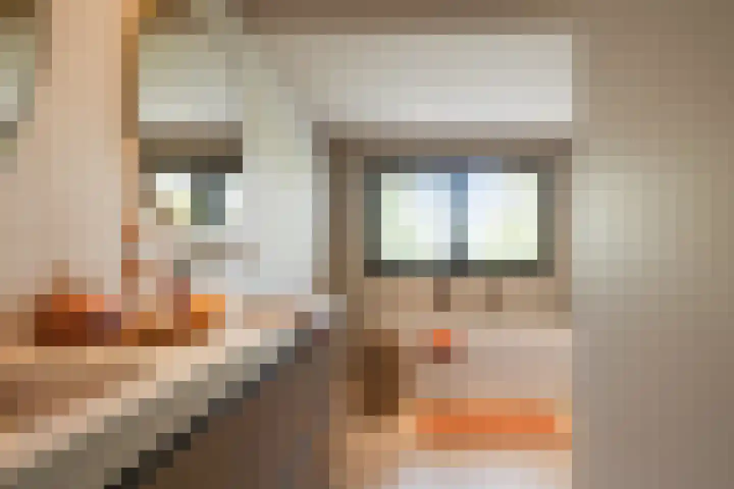 Pandelaar 14 Gemert thumbnail 15
