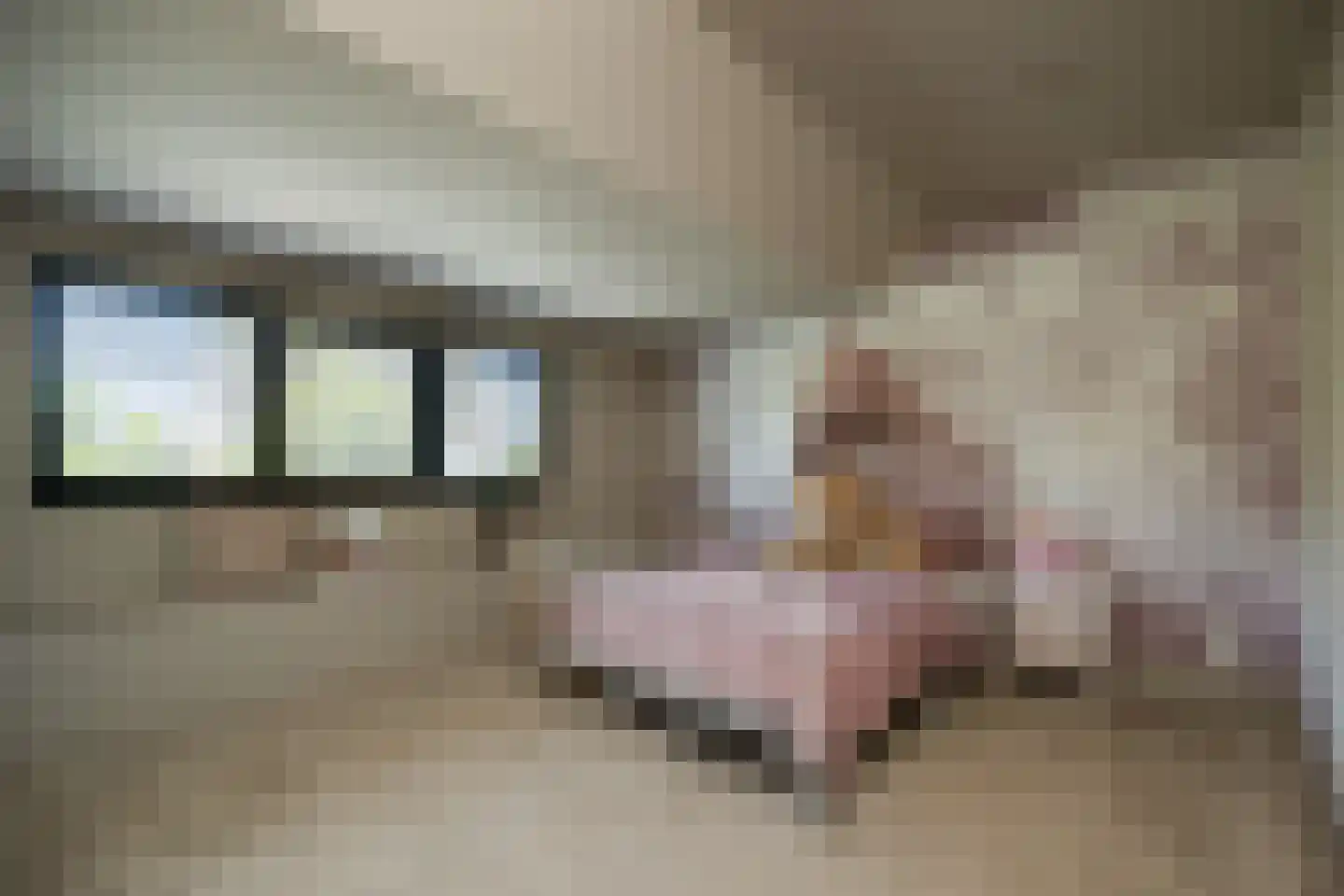 Pandelaar 14 Gemert thumbnail 17