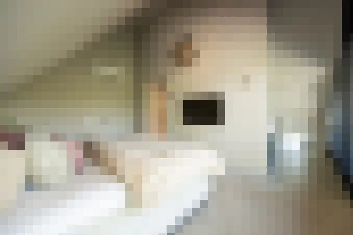 Pandelaar 14 Gemert thumbnail 18