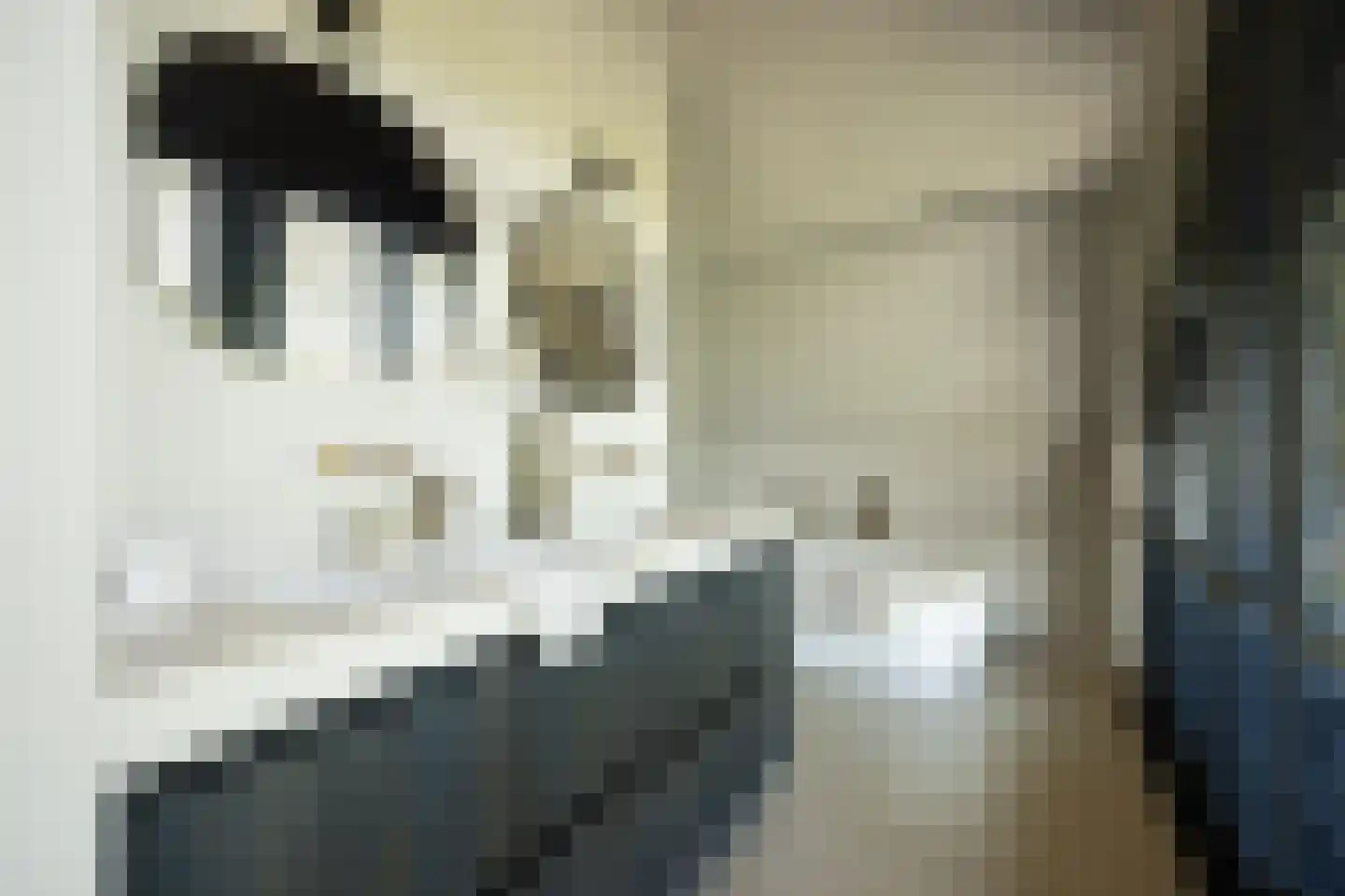 Pandelaar 14 Gemert thumbnail 20