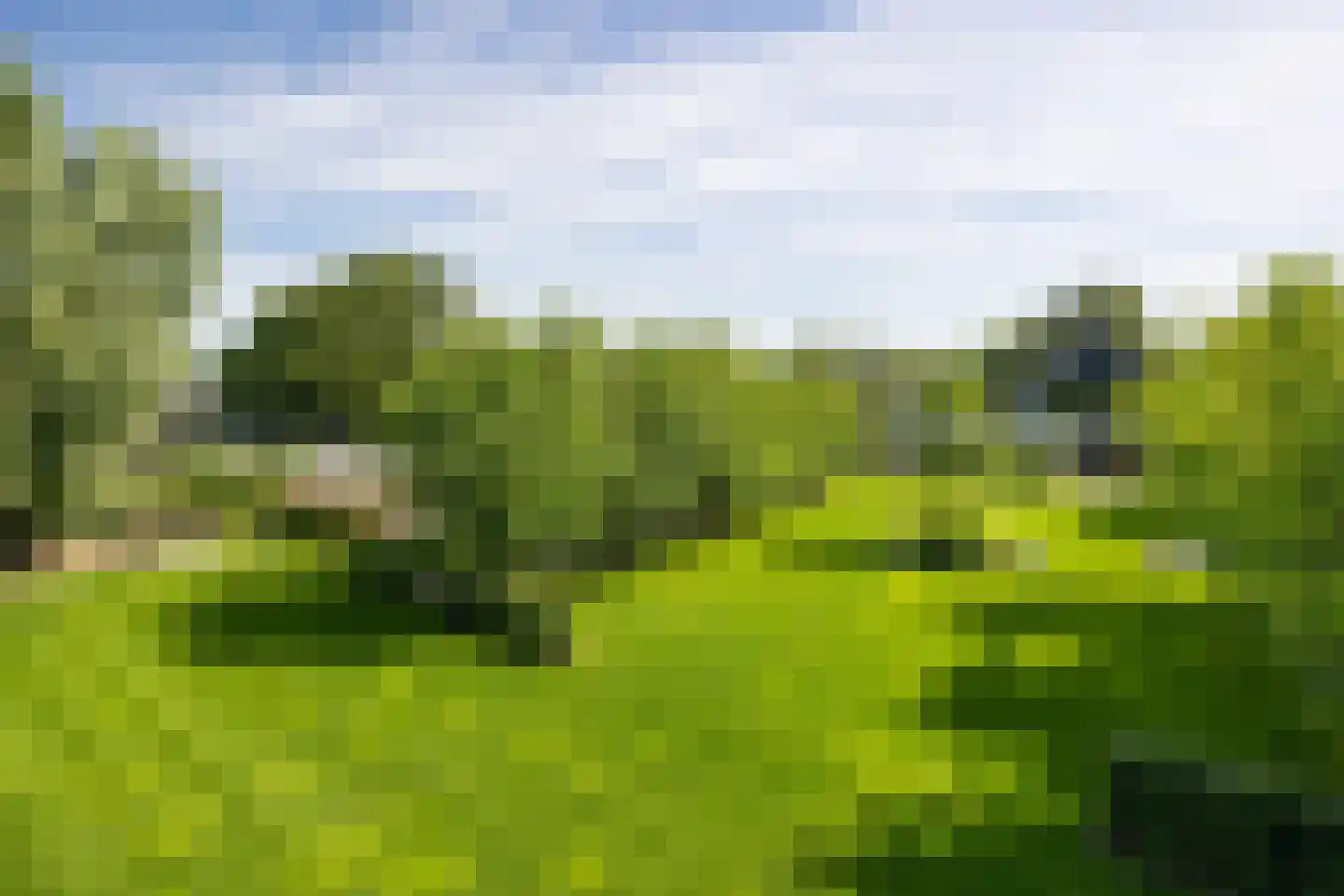 Pandelaar 14 Gemert thumbnail 21