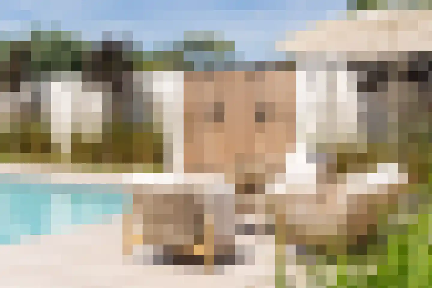 Pandelaar 14 Gemert thumbnail 27